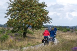 Read more about the article Naturschutzgebiet Niederlande entdecken?