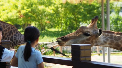 Die besten Zoos in Holland - Ferienparks in Holland.de