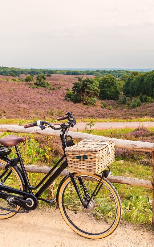 Knotenpunkte in der Veluwe